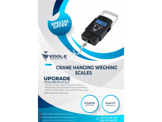 Digital hanging travel portable hanging scales