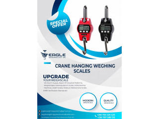 Hook scales for weighing fish