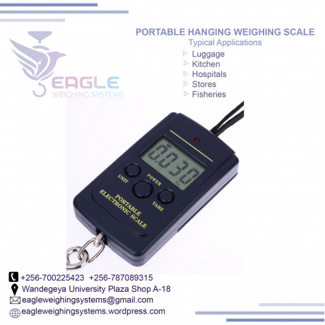 digital-bluetooth-hook-hanging-crane-scale-in-mukono-big-0