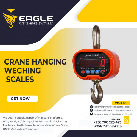 industrial-hangingweighing-crane-scale-big-0