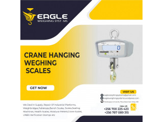 Waterproof digital hanging scales for fisheries