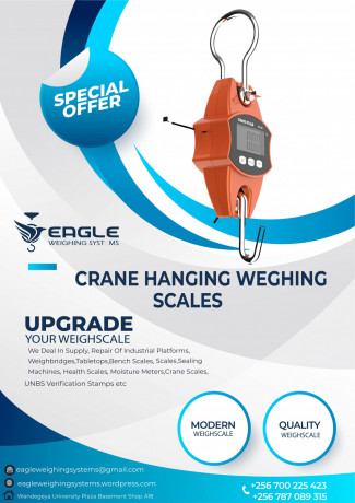 crane-scales-200kg-big-0