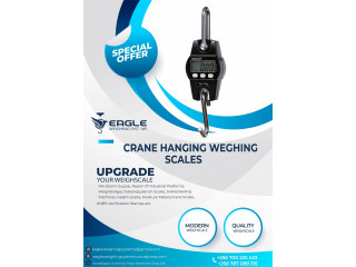 Digital Crane Portable Electronic Weighing Scales