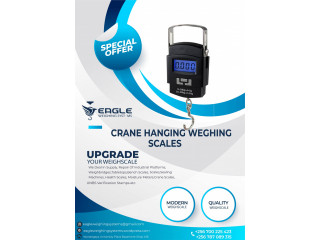 Digital Hanging Luggage Weight Scale