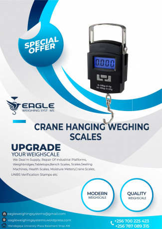 digital-hanging-luggage-weight-scale-big-0