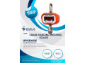 digital-bluetooth-hook-hanging-crane-scale-small-0