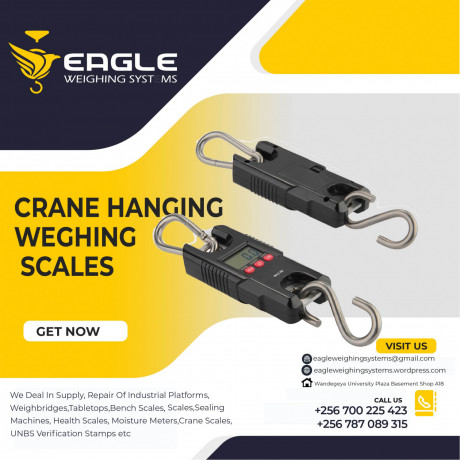 digital-crane-scales-for-home-and-farm-use-big-0