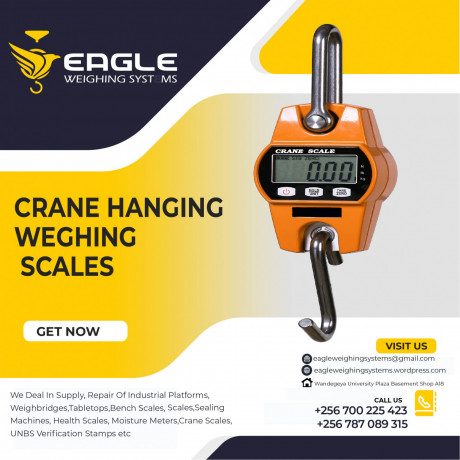 crane-scales-for-luggage-at-eagle-weighing-scales-big-0