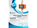 high-precision-hanging-digital-scale-small-0