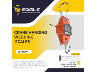 Mini electronic hanging luggage scale