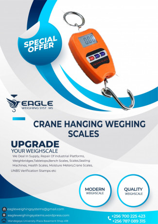 digital-weighing-scale-big-0