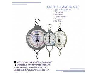 Spring mechanical weight balance