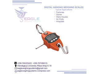 300kg digital hand weighing scales