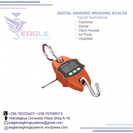 300kg-digital-hand-weighing-scales-big-0