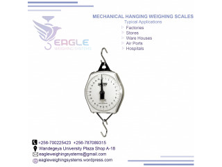 Dual face Spring hanging scales