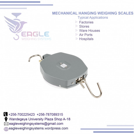 20kg-high-accuracy-double-sided-hanging-scales-big-0