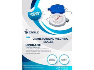 25kg Mechanical Hanging Baby Scales