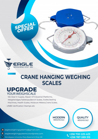 25kg-mechanical-hanging-baby-scales-big-0