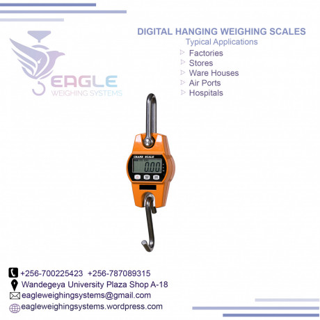 digital-industrial-calibrated-weighing-scales-in-kampala-big-0