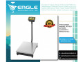 platform-weighing-scales-at-eagle-weighing-systems-ltd-small-0