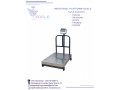 stainless-steel-top-platform-scale-with-rail-small-0