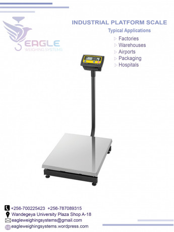 weighing-balance-platform-weighing-scale-big-0