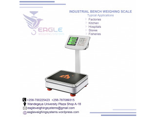 Portable Platform Digital Electric Weight Scales