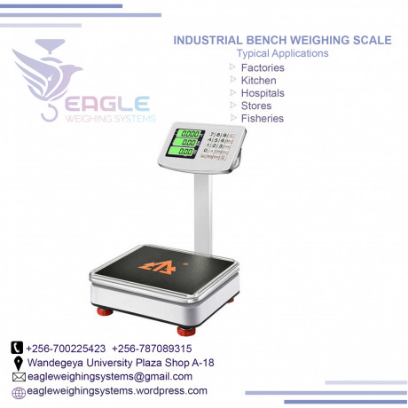 portable-platform-digital-electric-weight-scales-big-0