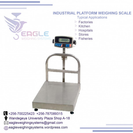 electronics-platform-scale-balance-big-0