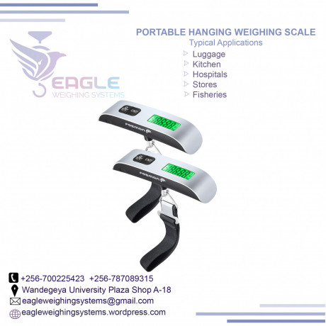 portable-fish-hanging-and-luggage-scales-in-jinja-big-0