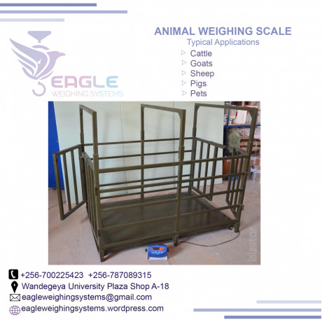 weighing-machine-5000kg-big-0