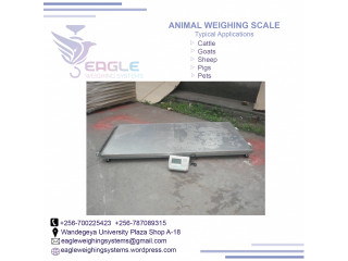 Industry platform floor weighing scales