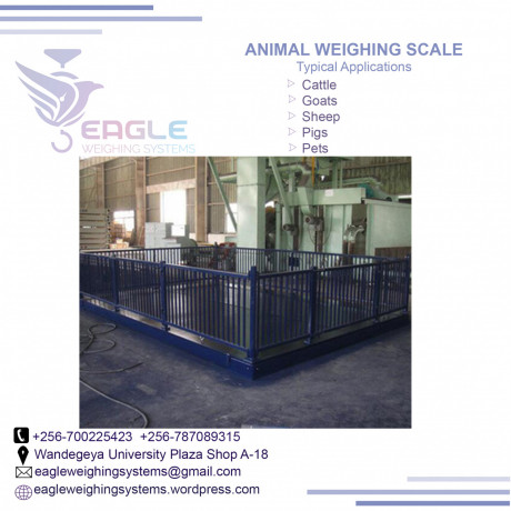 large-platform-electronic-dog-pet-scaleanimal-scalepostal-scale-big-0