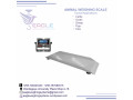 indisturial-platform-scale-weighing-scale-small-0