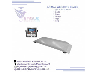 Indisturial Platform scale weighing scale