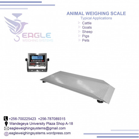 indisturial-platform-scale-weighing-scale-big-0