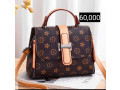 ladies-bags-small-2
