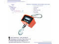 portable-digital-electronic-luggage-scale-in-jinja-small-0