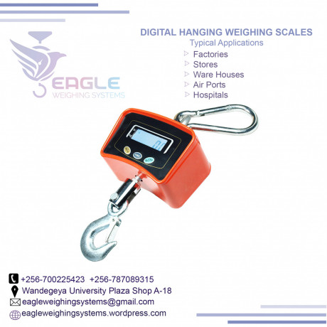 portable-digital-electronic-luggage-scale-in-jinja-big-0