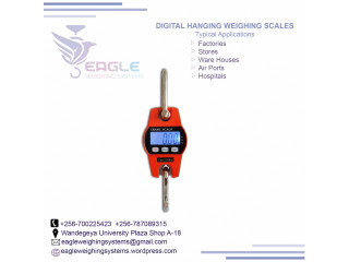 Portable pocket electronic hanging luggage scales in kampala