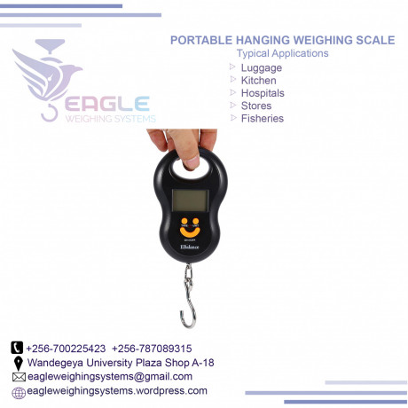 digital-weighing-scale-40kg-digital-luggage-scales-in-mukono-big-0