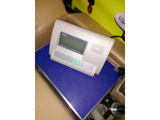 A12 weighing indicator 100kg to 500kg