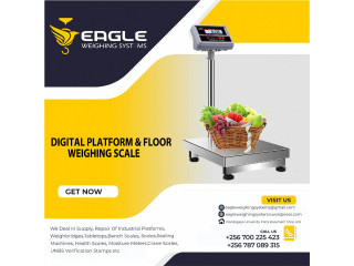 Digital Carbon Steel Platform Bench Scale with A12E Weighing Indicator