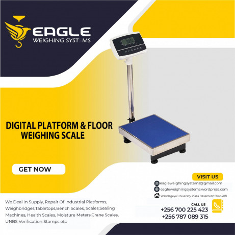 digital-weighing-pricing-bench-electronic-platform-scale-big-0