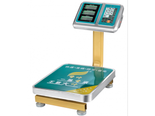 Digital Pricing Bench Platform Scale 60C 30*40 60kg