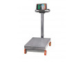 a12e-platform-weighing-scales-small-0