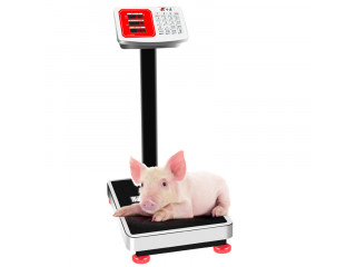 Electronic platform digital weighing scale with railing