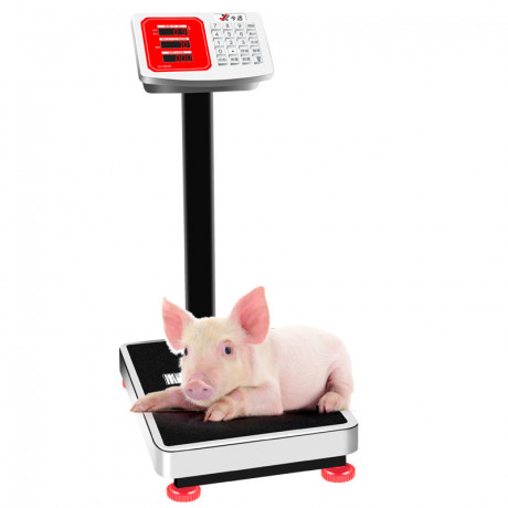 electronic-platform-digital-weighing-scale-with-railing-big-0