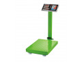 industrial-strong-low-profile-platform-scale-small-0