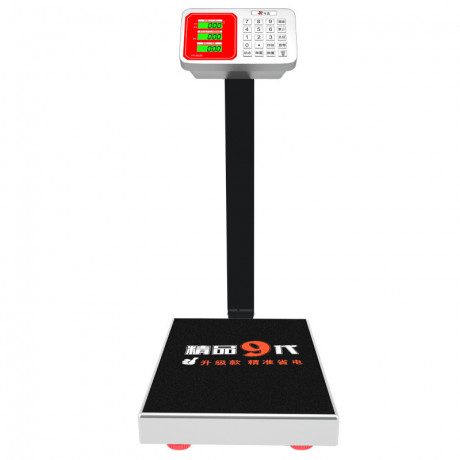 new-model-electronic-digital-platform-scales-big-0